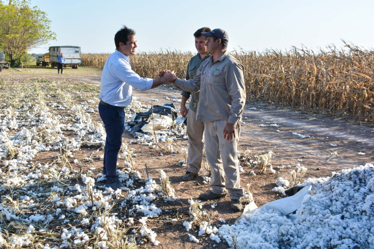 Lifton visitó un campo de algodón y resaltó el rol de los pequeños productores chaqueños