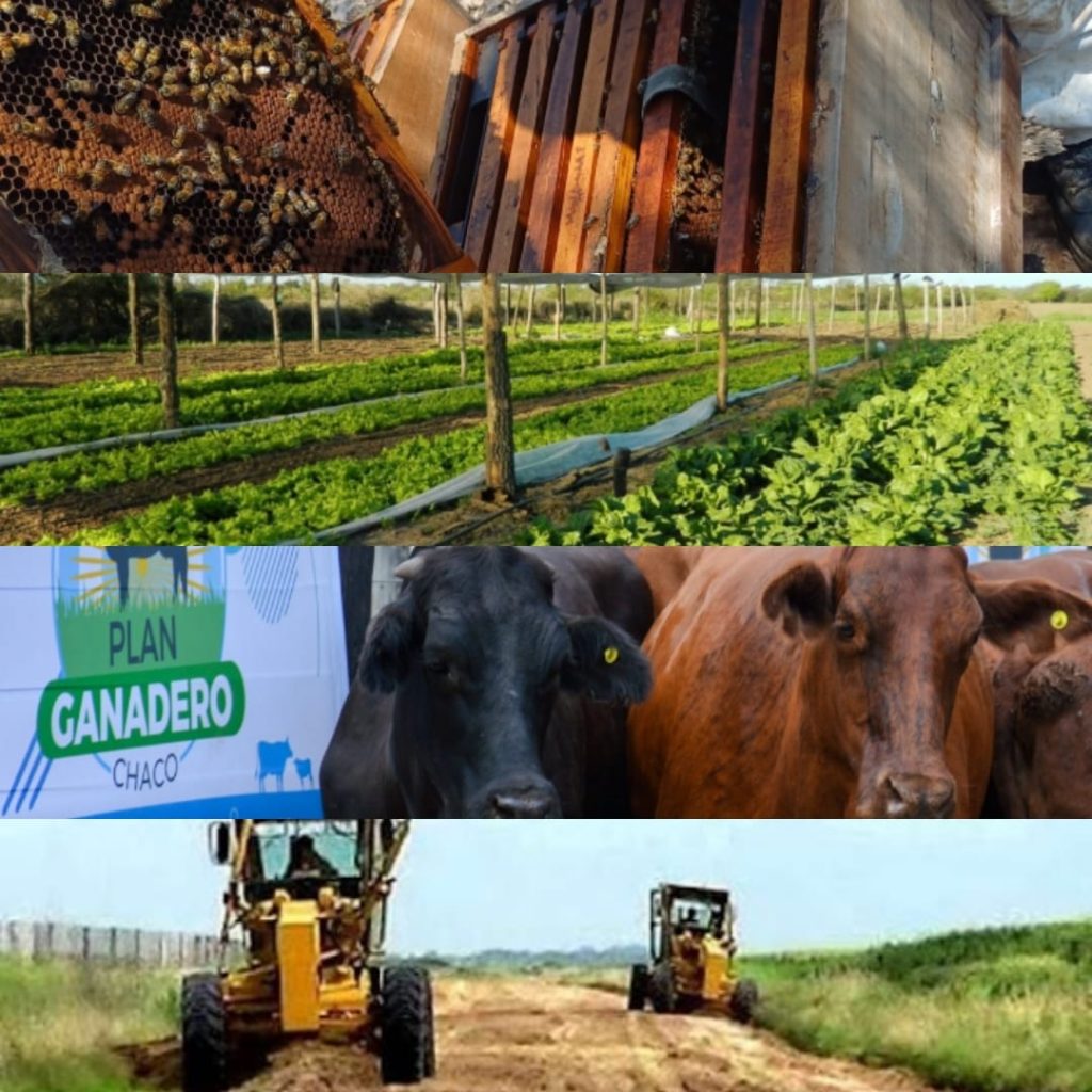 EL MINISTERIO DE LA PRODUCCIÓN INVITA A PARTICIPAR DE DIVERSOS PROGRAMAS EN LA 14° MUESTRA DE ALTERNATIVAS PRODUCTIVAS SUSTENTABLE DEL SUDOESTE.