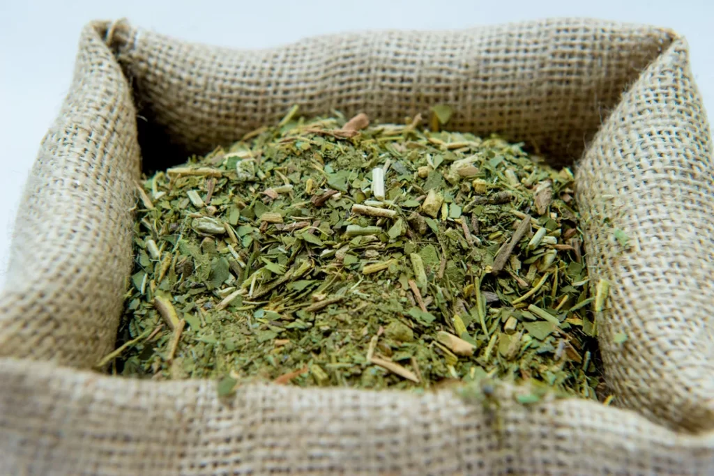 La cosecha de yerba mate cayó más del 30% en el primer trimestre del año