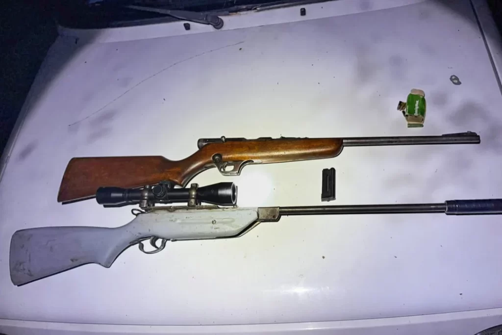 Entre Ríos: incautan gran cantidad de armas de fuego en lo que va de 2025