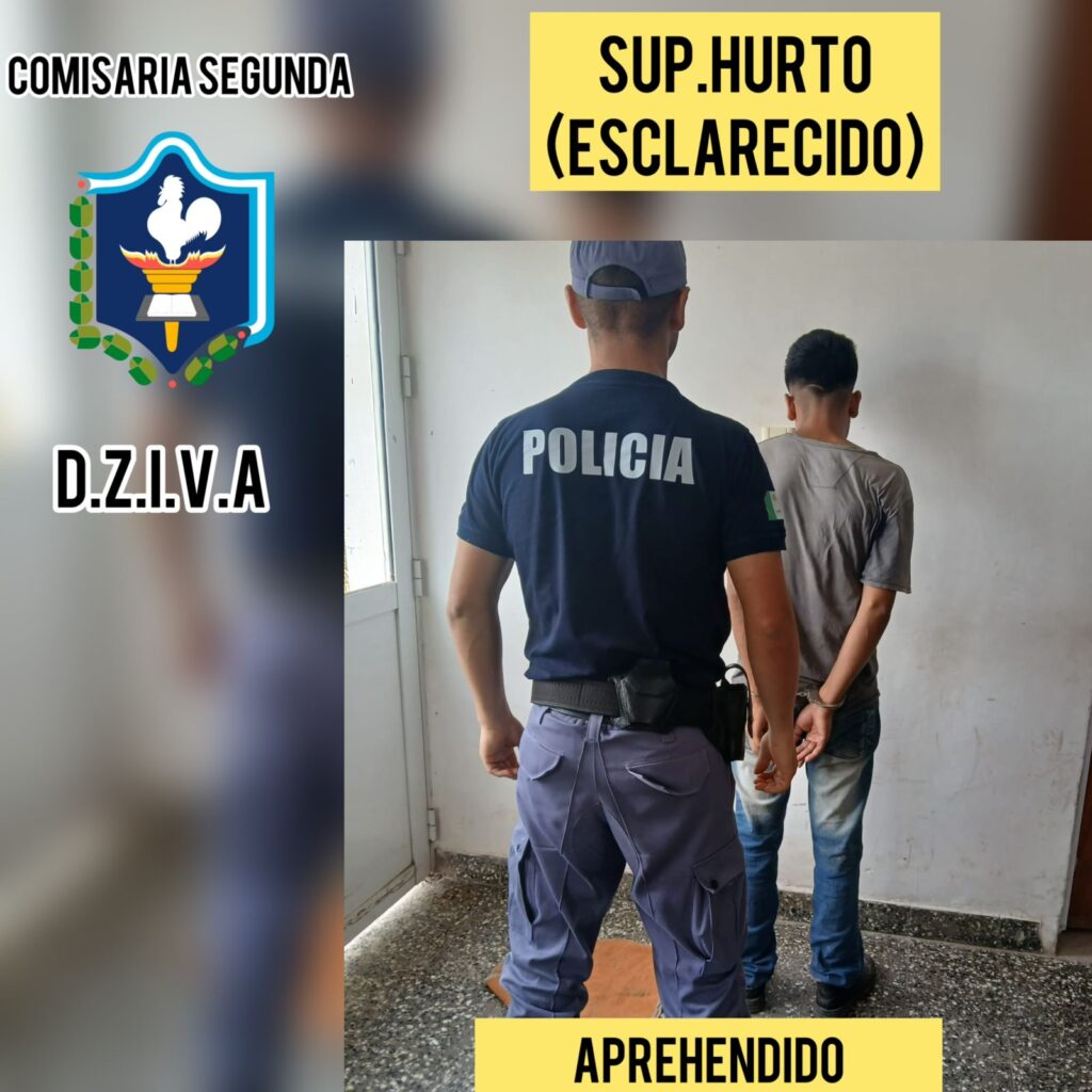 VILLA ÁNGELA: RÁPIDO ESCLARECIMIENTO DE UN HURTO EN CALLE LUGONES