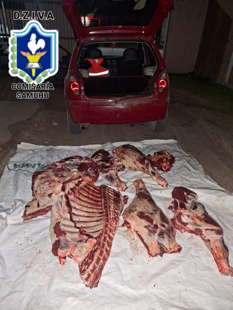 SAMUHÚ: DEMORAN A UN AUTOMOVILISTA QUE TRANSPORTABA 200 KILOS DE CARNE VACUNA EN PLENA RUTA
