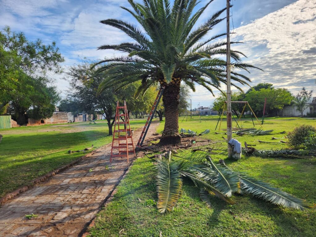 EL MUNICIPIO INICIÓ TRABAJOS DE MANTENIMIENTO EN LA PLAZA DEL BARRIO BELGRANO