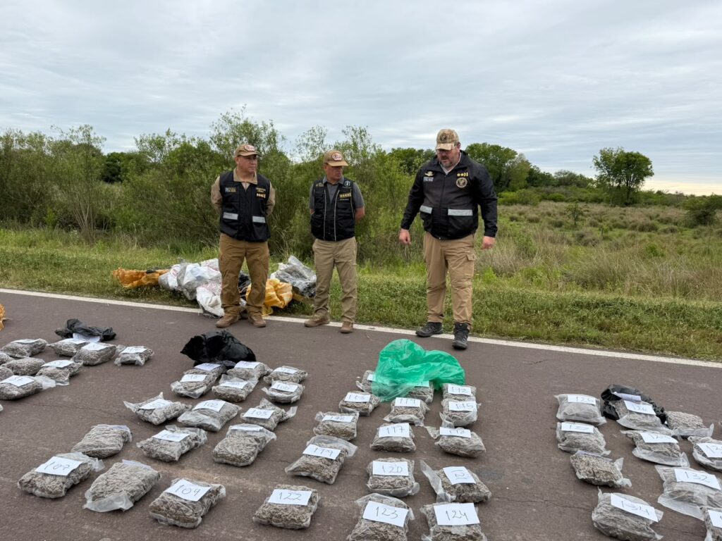 GOLPE AL NARCOTRÁFICO EN CHACO: SECUESTRARON 211 KILOS DE COGOLLOS DE MARIHUANA Y DETUVIERON A UN HOMBRE